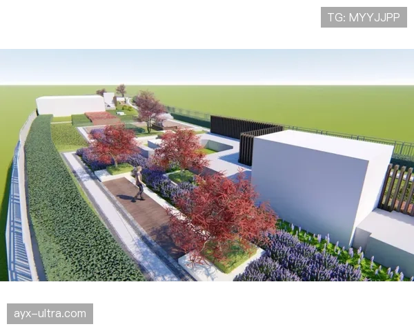 草坪场地规则拆解：标准尺寸与质量对比赛判罚有何影响