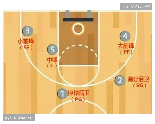 【篮球规则解析】详解球权判定规则：从争球到界外球如何执行？